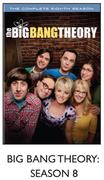 Big Bang Theory Season 8 Series-2s