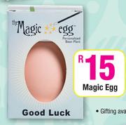 Magic Egg
