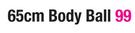 65cm Body Ball