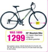 Backtrail 29" Mountain Bike