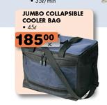 Jumbo Collapsible Cooler bag-45Ltr