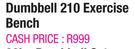 Dumbbell 210 Exercise Bench