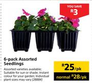6 Pack Assorted Seedlings-Per pk