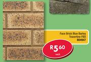 Face Brick Blue Barley Travertine FBX B04947-Each
