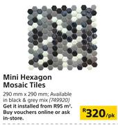 Mini Hexagon Mosaic Tiles-290mm x 290mm Per Pack
