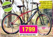 Raleigh 29" Rock Mountain Bike