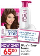 Nice 'n Easy Foam Assorted Shades