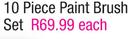 Homestead 10 Piece Paint Brush Set