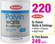 Plascon 5L Polvin Walls & Ceilings