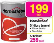 Homestead 5L Gloss Enamel