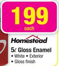 Homestead 5L Gloss Enamel