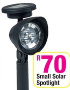 Small Solar Spotlight-Each