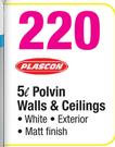 Plascon 5L Polvin Walls & Ceilings