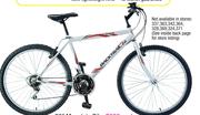 Backtrail 24" Ladies Or Mens Outback Mountain Bike