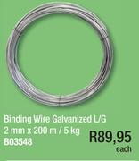 Binding Wire Galvanized L/G 3.15mmx80m/5kg-Each