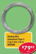 Binding Wire Galvanized Class C 5kg 4mm x 50m B02599