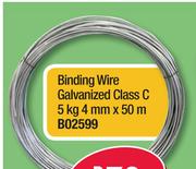 Binding Wire Galvanized 1.6mmx30m/500g B00071