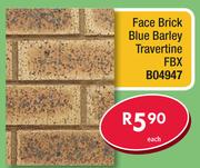 Face Brick Blue Barley Travertine FBX B04947-Each