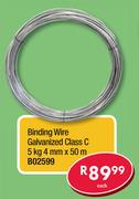 Binding Wire Galvanized Class C 5Kg 4mm x 50m B02599-Each