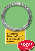 Binding 5kg Wire Galvanized Class C B02599-4mm x 50m 