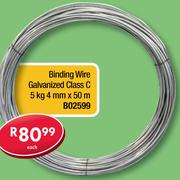 Binding Wire Galvanized Class C 5Kg 4mm x50m B02599-Each