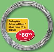 Binding Wire Galvanized Class C 5Kg 4mm x50m B02599-Each