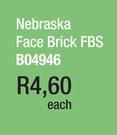 Nebaraska Face Brick FBS B04946