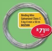 Binding Wire Galvanised 1.6mm x 30m/500g B00071