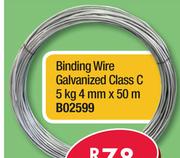 Binding Wire Galvanized Class C 4mm x50m B02599-5Kg