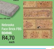 Nebraska Face Brick FBS B04946-Each