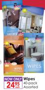 Home Butler Wipes Assorted 40 Pack-Each