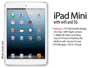 iPad Mini With Wi-Fi And 3G 32GB-On 1GB Internet Package