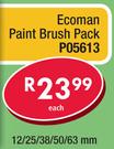 Ecoman Paint Brush Pack P05613-Each