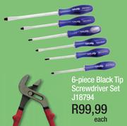 6 Piece Black Tip Screwdriver Set J18794-Each
