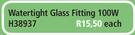 Watertight Glass Fitting 100W H38937-Each