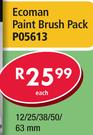 Ecoman Paint Brush Pack 63mm P05613-Each