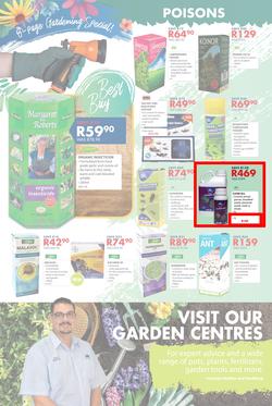 Chamberlains : Spring Is Coming (24 Aug - 9 Sep 2018), page 4