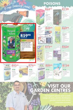 Chamberlains : Spring Is Coming (24 Aug - 9 Sep 2018), page 4