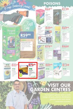 Chamberlains : Spring Is Coming (24 Aug - 9 Sep 2018), page 4