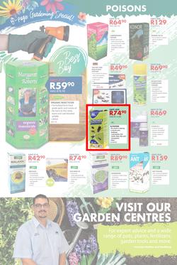 Chamberlains : Spring Is Coming (24 Aug - 9 Sep 2018), page 4
