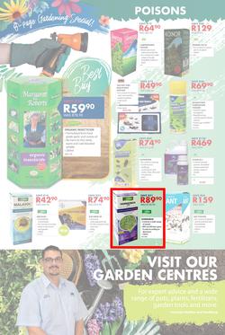 Chamberlains : Spring Is Coming (24 Aug - 9 Sep 2018), page 4