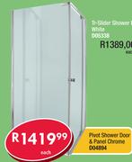 Pivot Shower Door & Panel Chrome D04894-Each
