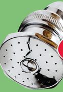 1 Function Shower Rose CP Small Knuckle Joint N10485-Each