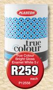Plascon True Colour Bright Gloss Enamel White P12558-5L