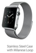 Apple Watch 38mm Stainless Steel Case With Milanese Loop