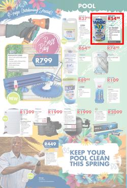 Chamberlains : Spring Is Coming (24 Aug - 9 Sep 2018), page 6