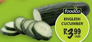 Foodco English Cucumber-Each