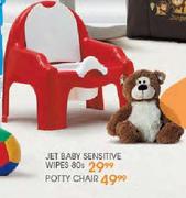 Potty Chair