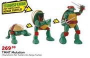 TMNT Mutation