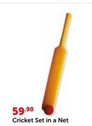 Cricket Set In A Net